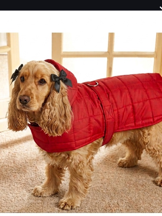 doggiduds Other - Red Quilted Dog Jacket Parka with attached hood Sz 16